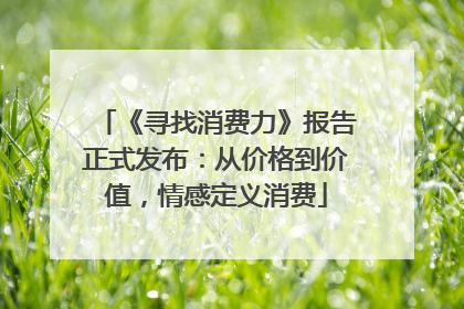 《寻找消费力》报告正式发布：从价格到价值，情感定义消费