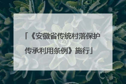 《安徽省传统村落保护传承利用条例》施行