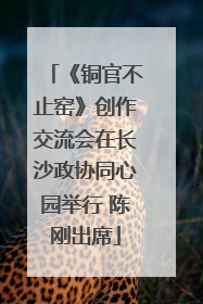 《铜官不止窑》创作交流会在长沙政协同心园举行 陈刚出席