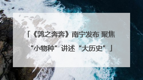 《鹑之奔奔》南宁发布 聚焦“小物种”讲述“大历史”