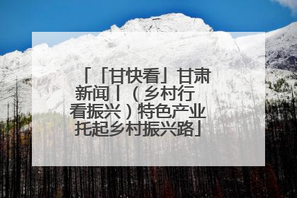「甘快看」甘肃新闻丨（乡村行 看振兴）特色产业托起乡村振兴路