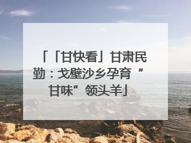 「甘快看」甘肃民勤：戈壁沙乡孕育“甘味”领头羊