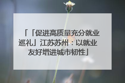 「促进高质量充分就业巡礼」江苏苏州：以就业友好增进城市韧性