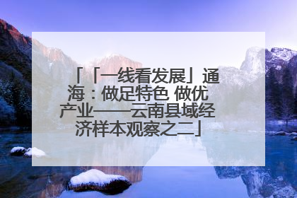「一线看发展」通海：做足特色 做优产业——云南县域经济样本观察之二