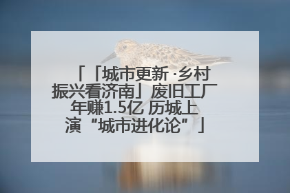 「城市更新 ·乡村振兴看济南」废旧工厂年赚1.5亿 历城上演“城市进化论”