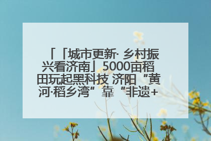 「城市更新· 乡村振兴看济南」5000亩稻田玩起黑科技 济阳“黄河·稻乡湾”靠“非遗+露营”火出圈