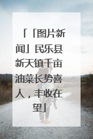 「图片新闻」民乐县新天镇千亩油菜长势喜人，丰收在望