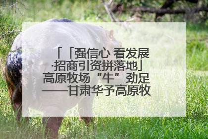 「强信心 看发展·招商引资拼落地」高原牧场“牛”劲足——甘肃华予高原牧场高标准奶牛肉牛养殖项目一线见闻