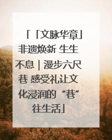 「文脉华章」非遗焕新 生生不息｜漫步六尺巷 感受礼让文化浸润的“巷”往生活