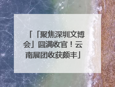 「聚焦深圳文博会」圆满收官！云南展团收获颇丰