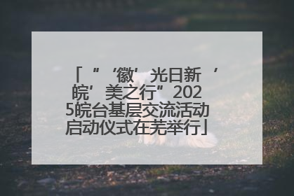 “‘徽’光日新‘皖’美之行”2025皖台基层交流活动启动仪式在芜举行