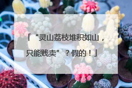 “灵山荔枝堆积如山，只能贱卖”？假的！