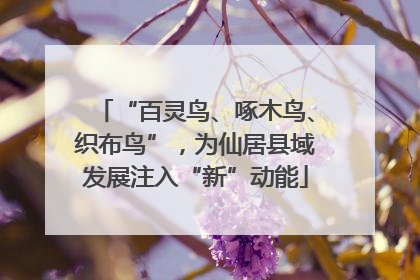 “百灵鸟、啄木鸟、织布鸟”，为仙居县域发展注入“新”动能