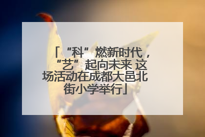 “科”燃新时代，“艺”起向未来 这场活动在成都大邑北街小学举行