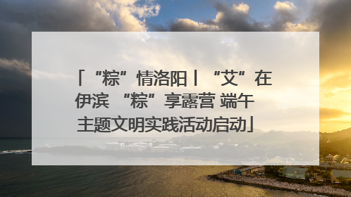 “粽”情洛阳丨“艾”在伊滨 “粽”享露营 端午主题文明实践活动启动