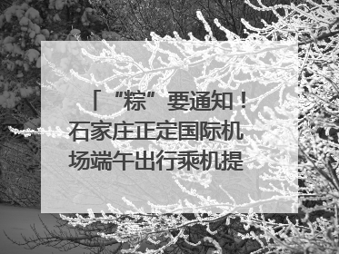 “粽”要通知！石家庄正定国际机场端午出行乘机提示，快来get
