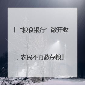 “粮食银行”敞开收，农民不再愁存粮