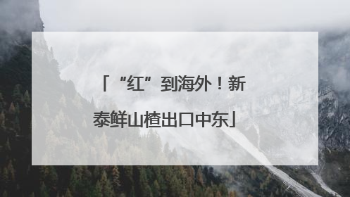“红”到海外！新泰鲜山楂出口中东