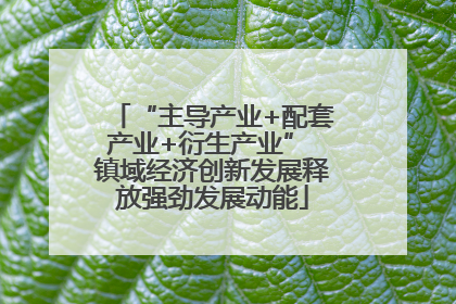 “主导产业+配套产业+衍生产业” 镇域经济创新发展释放强劲发展动能
