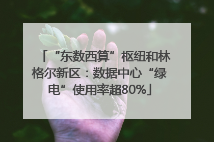 “东数西算”枢纽和林格尔新区：数据中心“绿电”使用率超80%