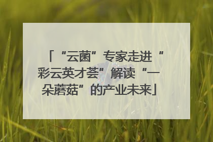 “云菌”专家走进“彩云英才荟”解读“一朵蘑菇”的产业未来
