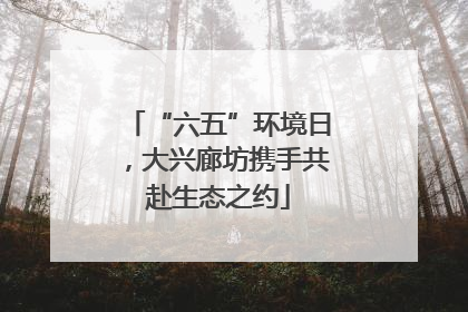 “六五”环境日，大兴廊坊携手共赴生态之约