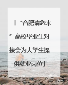 “合肥请您来”高校毕业生对接会为大学生提供就业岗位