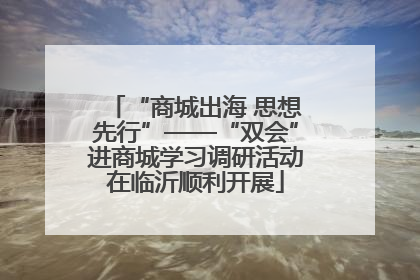 “商城出海 思想先行”——“双会”进商城学习调研活动在临沂顺利开展
