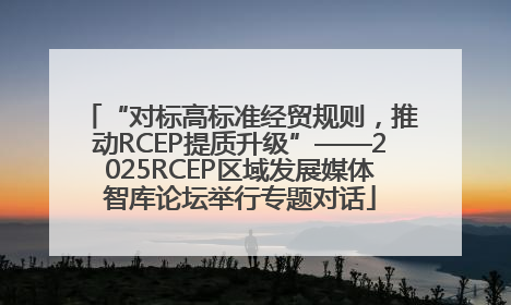 “对标高标准经贸规则，推动RCEP提质升级”——2025RCEP区域发展媒体智库论坛举行专题对话