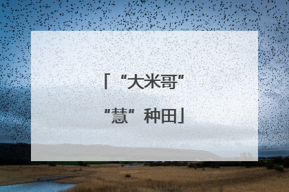 “大米哥”“慧”种田