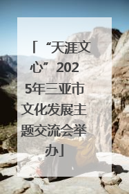 “天涯文心”2025年三亚市文化发展主题交流会举办