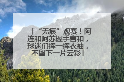 “无痕”观赛！阿连和阿苏握手言和，球迷们挥一挥衣袖，不留下一片云彩