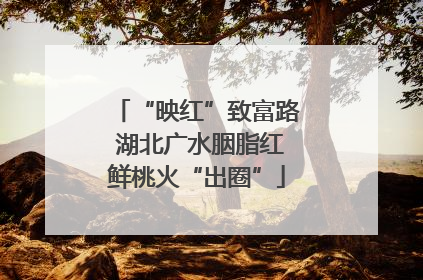 “映红”致富路 湖北广水胭脂红鲜桃火“出圈”