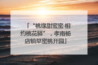“桃缘甜蜜蜜·相约桃花驿”，孝南杨店镇早蜜桃开园