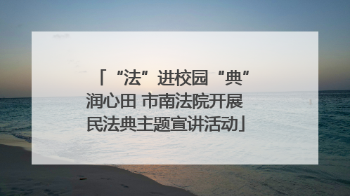 “法”进校园“典”润心田 市南法院开展民法典主题宣讲活动