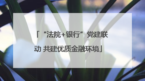 “法院+银行”党建联动 共建优质金融环境