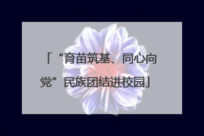“育苗筑基、同心向党”民族团结进校园