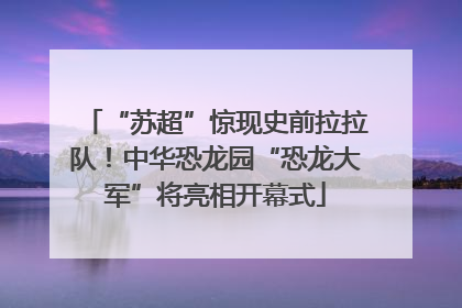 “苏超”惊现史前拉拉队！中华恐龙园“恐龙大军”将亮相开幕式