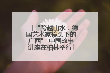 “跨越山水：德国艺术家镜头下的广西” 中国故事讲座在柏林举行