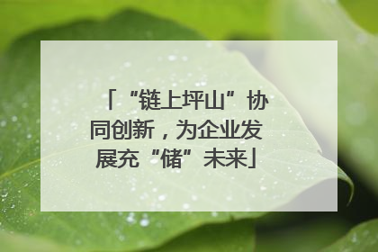 “链上坪山”协同创新，为企业发展充“储”未来