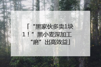 “黑家伙多卖1块1！”黑小麦深加工“磨”出高效益