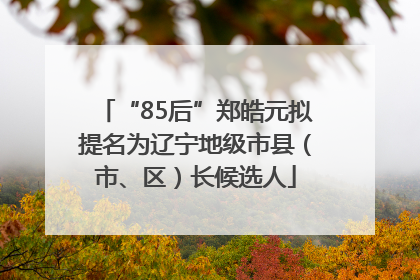 “85后”郑皓元拟提名为辽宁地级市县（市、区）长候选人