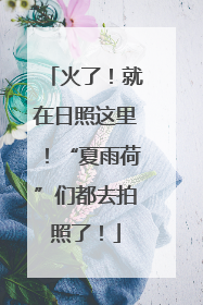 火了！就在日照这里！“夏雨荷”们都去拍照了！