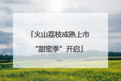 火山荔枝成熟上市 “甜蜜季”开启