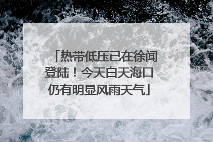 热带低压已在徐闻登陆！今天白天海口仍有明显风雨天气