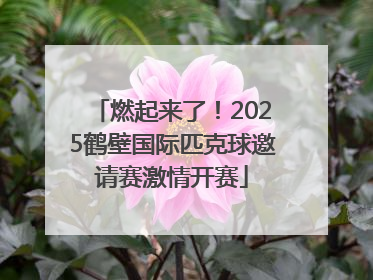 燃起来了！2025鹤壁国际匹克球邀请赛激情开赛
