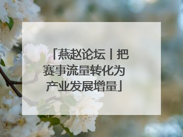 燕赵论坛丨把赛事流量转化为产业发展增量