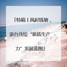 特稿丨风起钱塘，浙台共绘“新质生产力”发展蓝图