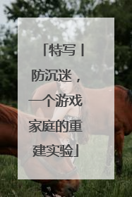 特写丨防沉迷，一个游戏家庭的重建实验
