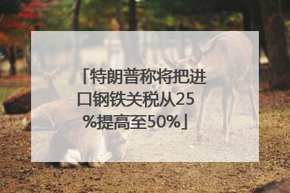 特朗普称将把进口钢铁关税从25%提高至50%